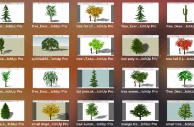 SketchUp Material Models: Landscape Plants and Tree Components-BIM WORLD