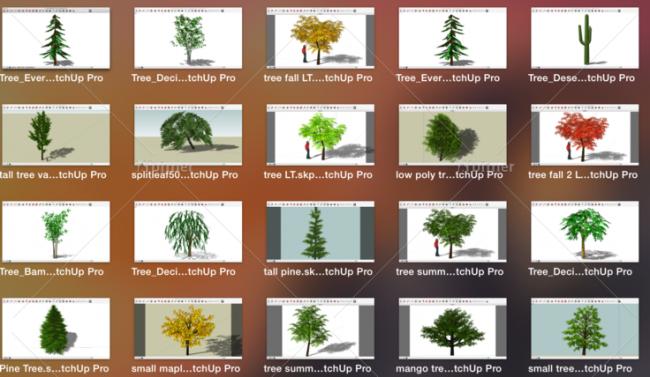 SketchUp Material Models: Landscape Plants and Tree Components