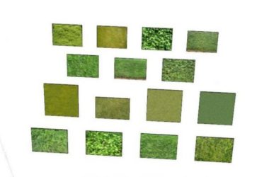 SketchUp Materials: Plant Textures and Architectural Model Components-BIM WORLD