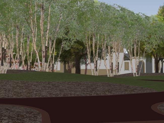Modern Courtyard Landscape Design in SketchUp