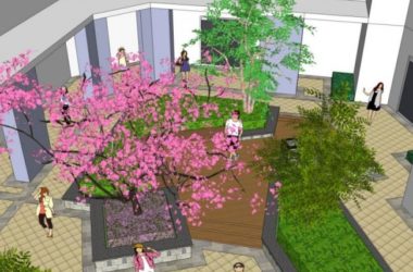Modern Campus and School Landscape Models in SketchUp-BIM WORLD