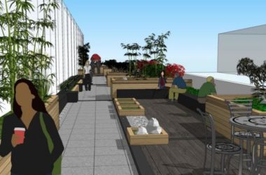 Modern Roof Garden Design: SketchUp Landscape Model Showcase-BIM WORLD