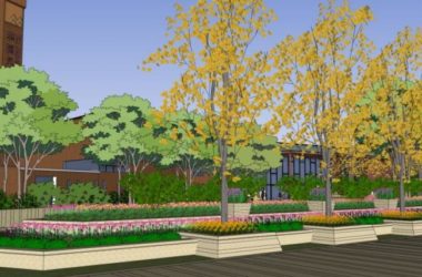 Modern Commercial Landscape Design in SketchUp-BIM WORLD