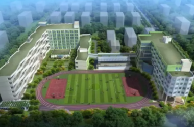 Implementing BIM and Prefabricated Double T-Plate Technology in a Shanghai Primary School Project-BIM WORLD