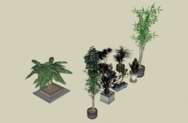 SketchUp Material Models: Pottery Pots, Flower Bowls, Plants, and Material Components-BIM WORLD