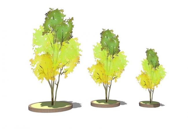 SketchUp Materials for Park Trees, Pools, and Landscapes