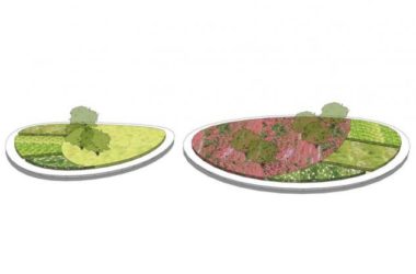 SketchUp Materials Collection: Flower Fields, Tree Pools, and Landscape Textures-BIM WORLD