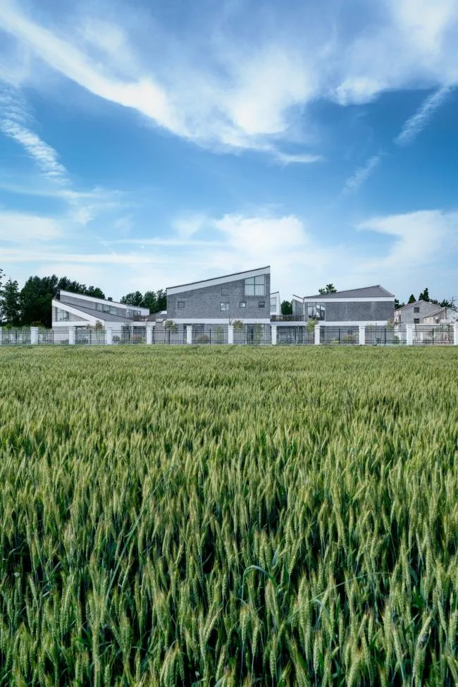 BIM Architecture | Water Town Charm, Glittering Stars on the Endless Plain: Jiangsu Beisha Kindergarten/Crossboundaries