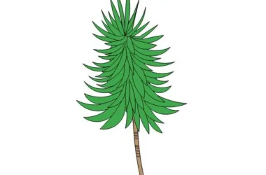 SketchUp Material Model: 2D Dragon Blood Tree Landscape Plant Component-BIM WORLD