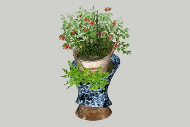 SketchUp Material Model: Modern Art Bowl Landscape Component