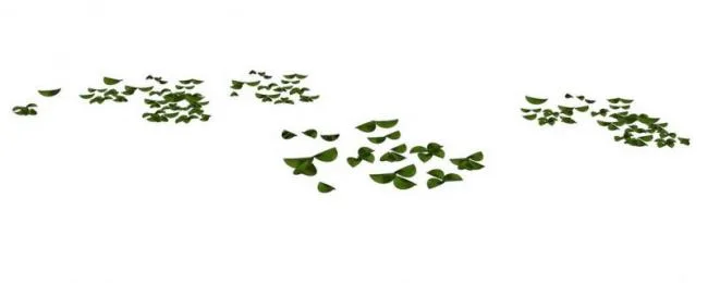 Sketchup Material Model | Small Leaf Landscape Material Component