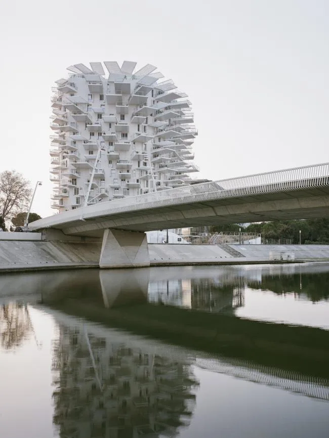 BIM Architecture | Scattered branches and leaves, towering white tree tower apartments/Fujimoto Shosuke, etc