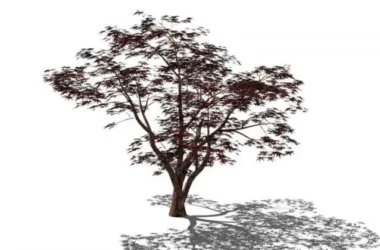 SketchUp 3D Plant and Tree Material Components Model-BIM WORLD