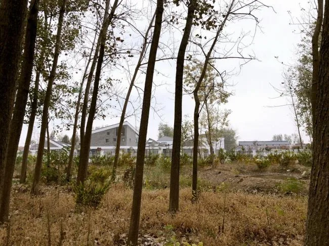 BIM Architecture | Water Town Charm, Glittering Stars on the Endless Plain: Jiangsu Beisha Kindergarten/Crossboundaries