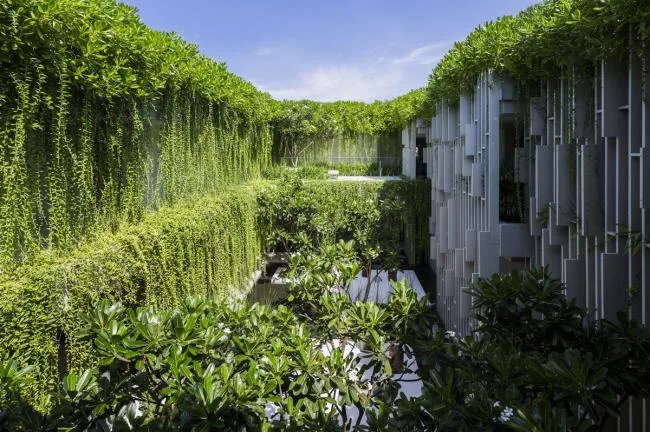 BIM Architecture | The Light and Shadow Space Pouring Down from Qianxun Jungle Waterfall: Naman Hot Spring Club/MIA Design Studio