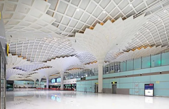 BIM Architecture | Continuous Waves Rising from Golden Birch Forest: Hulunbuir Hailar Airport Expansion Project/China Architecture Design Institute Joint Architectural Design Seminar U10