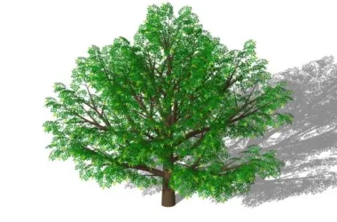 SketchUp Material Library: 3D Plant and Tree Models with Textures-BIM WORLD