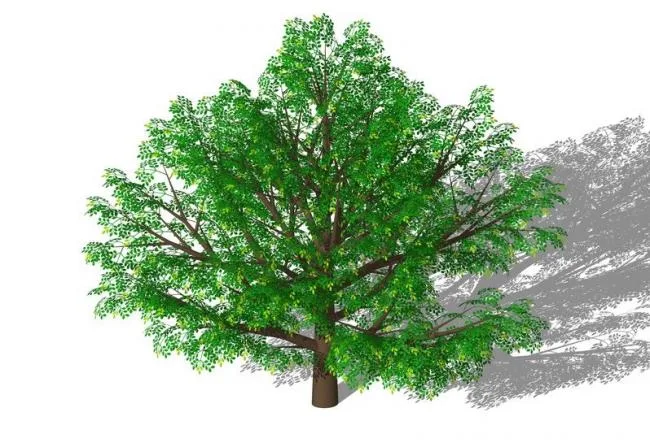 SketchUp Material Library: 3D Plant and Tree Models with Textures