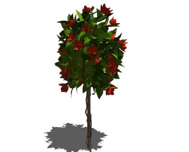 SketchUp 3D Plant and Tree Material Components Model