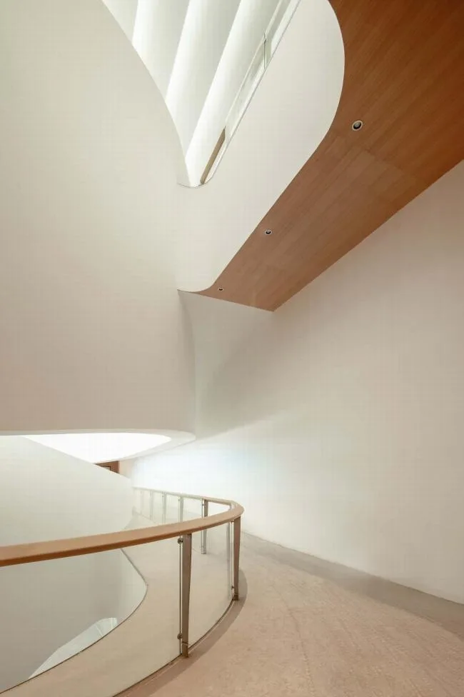 BIM Architecture | As graceful as a beautiful fish, West Hall of Silk Road Cultural Exchange Center/WAY Studio