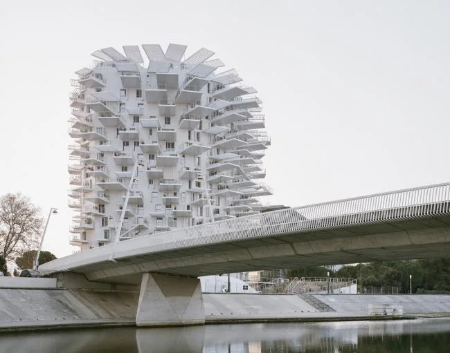 BIM Architecture | Scattered branches and leaves, towering white tree tower apartments/Fujimoto Shosuke, etc