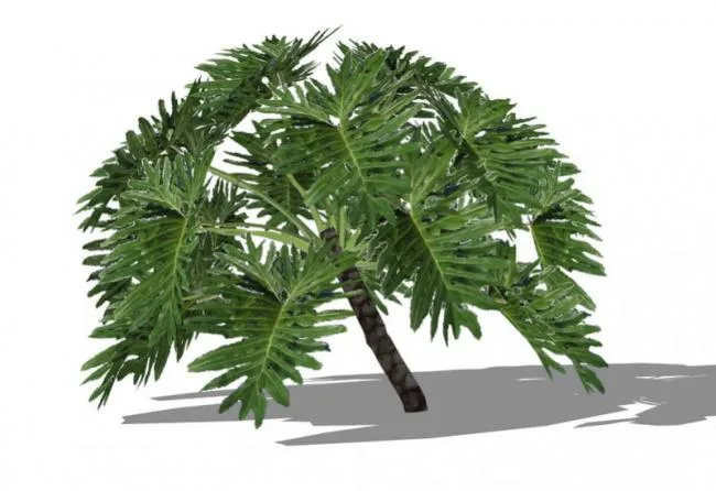 SketchUp Material and 3D Plant Tree Component Model
