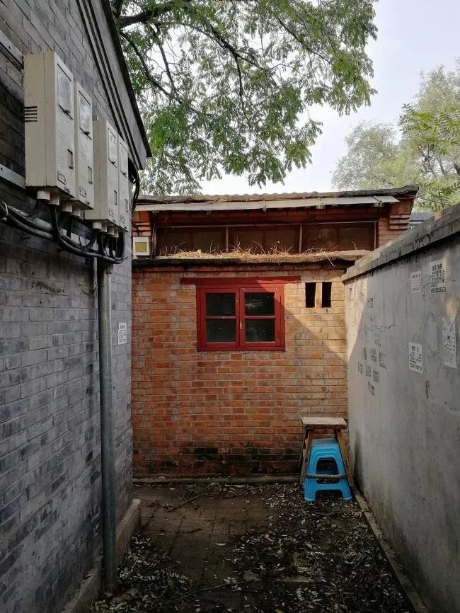 BIM Architecture | Improvement Strategies for Local Residents in Hutong Courtyard of a 50 ㎡ Family of Six/Clear Architecture