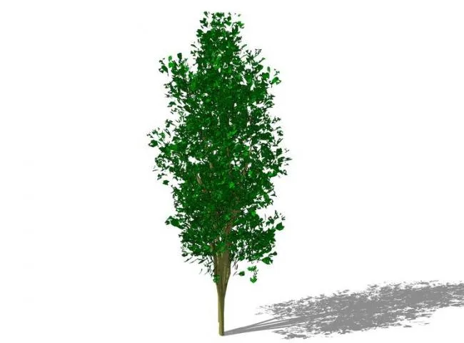 SketchUp Material Library: 3D Plant and Tree Models with Textures