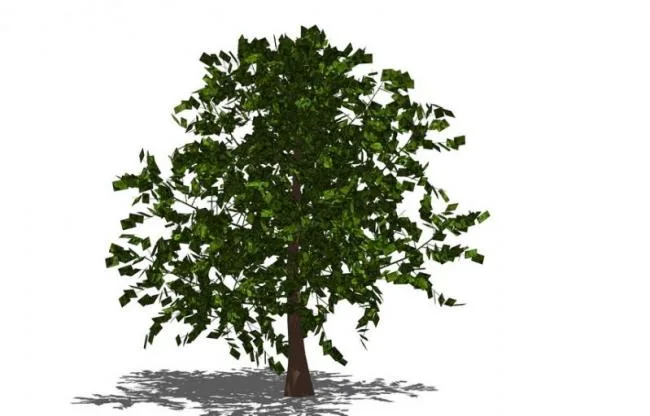 SketchUp Material Library: 3D Plant and Tree Models with Textures