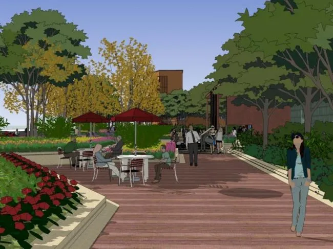 Sketchup Landscape Model | Commercial Landscape, Modern Style