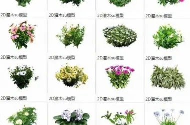 SketchUp Materials: Shrubs, 2D Plants, and Landscape Components-BIM WORLD