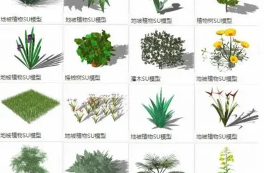 SketchUp Materials: Ground Cover Plants, Trees, and Landscape Components-BIM WORLD