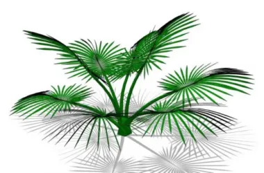 SketchUp 3D Plant and Tree Material Components Model-BIM WORLD