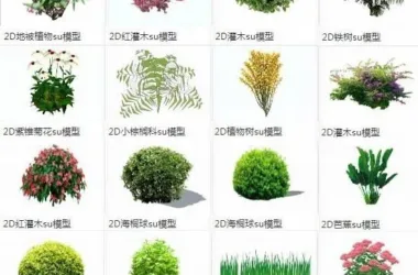 SketchUp Material Library: Shrubs, Ground Covers, Grasses, and 2D Landscape Elements Including Palms and Tung Trees-BIM WORLD