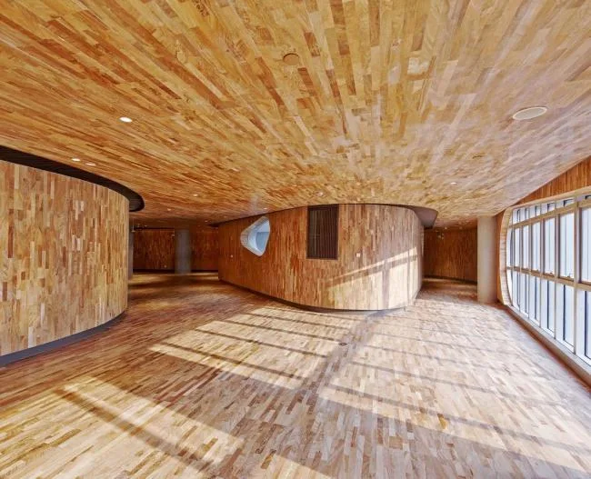 BIM Architecture | The Beauty of Modern Light Transparency and Traditional Heavy Integration: Shanghai Hongqiao Art Center/BAU