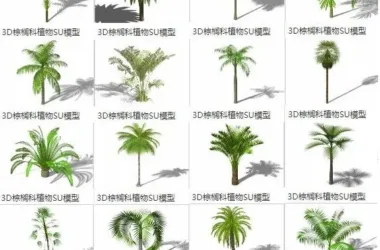 SketchUp Materials Library: 3D Plants, Palm Trees, Coconut Trees, and Landscape Elements-BIM WORLD
