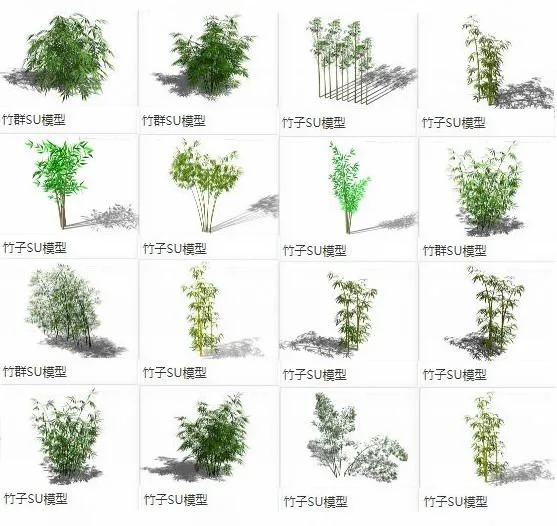 Sketchup Material Model | Bamboo Leaves, Bamboo Branches, Bamboo Clusters, Plant Landscape Material Components