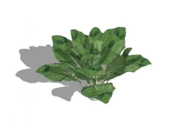 SketchUp Material Model: Vegetable Landscape Textures and Components-BIM WORLD