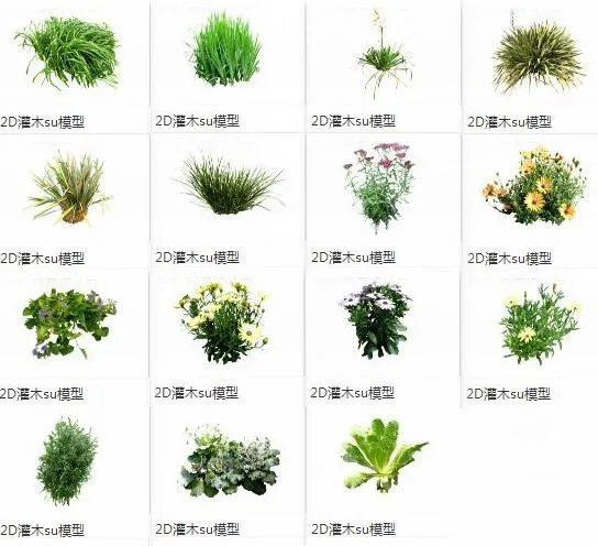 SketchUp Material Model | 2D Plants and Shrubs, Landscape Material Components