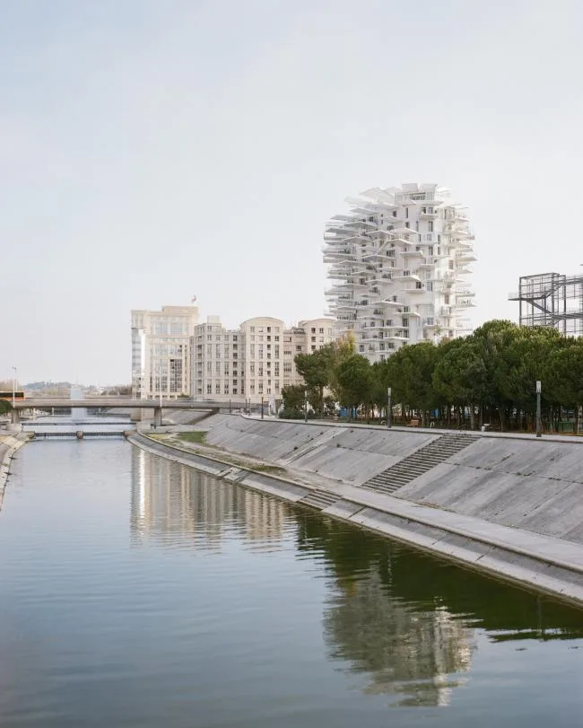 BIM Architecture | Scattered branches and leaves, towering white tree tower apartments/Fujimoto Shosuke, etc