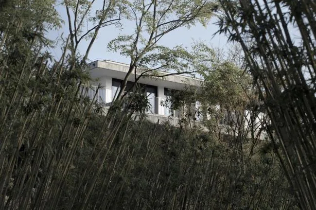 BIM Architecture | Shede Culture in the Middle/Very Architectural