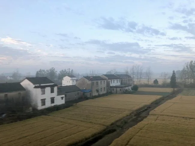 BIM Architecture | Water Town Charm, Glittering Stars on the Endless Plain: Jiangsu Beisha Kindergarten/Crossboundaries