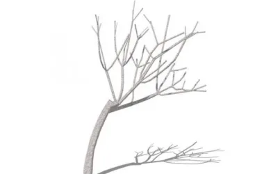 SketchUp Material Models: 3D Dead Tree, Branches, and Plants-BIM WORLD