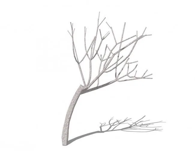 Sketchup Material Model | 3D Dead Tree, Branch, Plant Tree