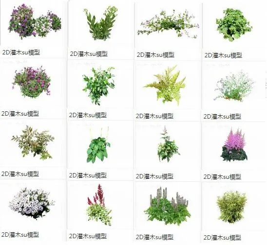Sketchup Material Model | 2D Plants, Shrubs, Flowers and Plants, Landscape Material Components