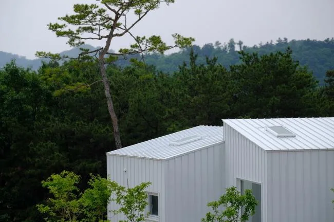 BIM Architecture | Beside the Blue Lake, Between the Jungle: Floating Cube Room by Younghan Chung Architects