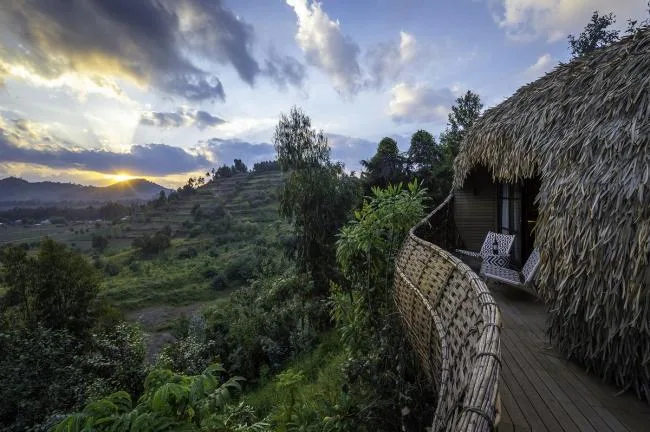 BIM Architecture | Luxury Hotel Hidden in the Thick Forest - Bisate Vacation Home/Nicholas Plewman Architects