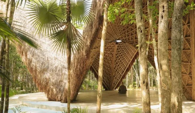 BIM Architecture | Luum Temple, Natural Beauty under Bamboo Parameter Digitization/CO-LAB Design Office