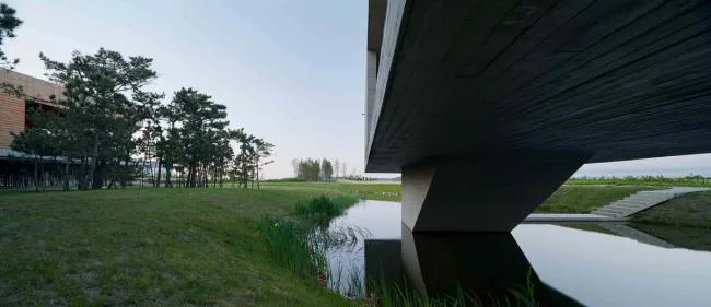 BIM Architecture | Swan Lake Wetland Park Landscape Elegance Corridor and Elegance Bird Tower/Trail · Architectural Firm