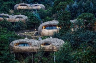 BIM Architecture: Luxury Hotel Nestled in a Dense Forest – Bisate Vacation Home by Nicholas Plewman Architects-BIM WORLD